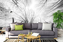 Fototapeta Česká príroda Stromy zs1054 - vliesová